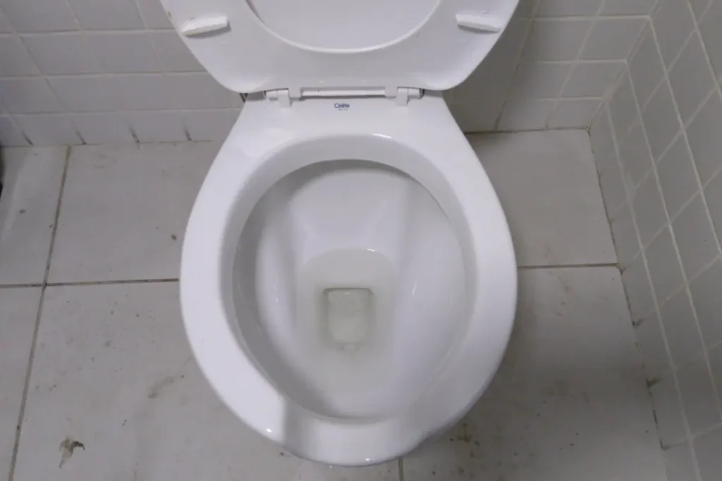Vaso sanitário em avaliação técnica antes do atendimento